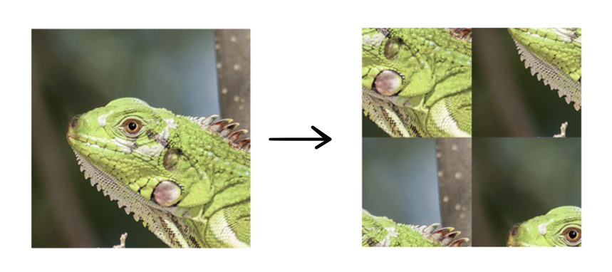 Fig 13