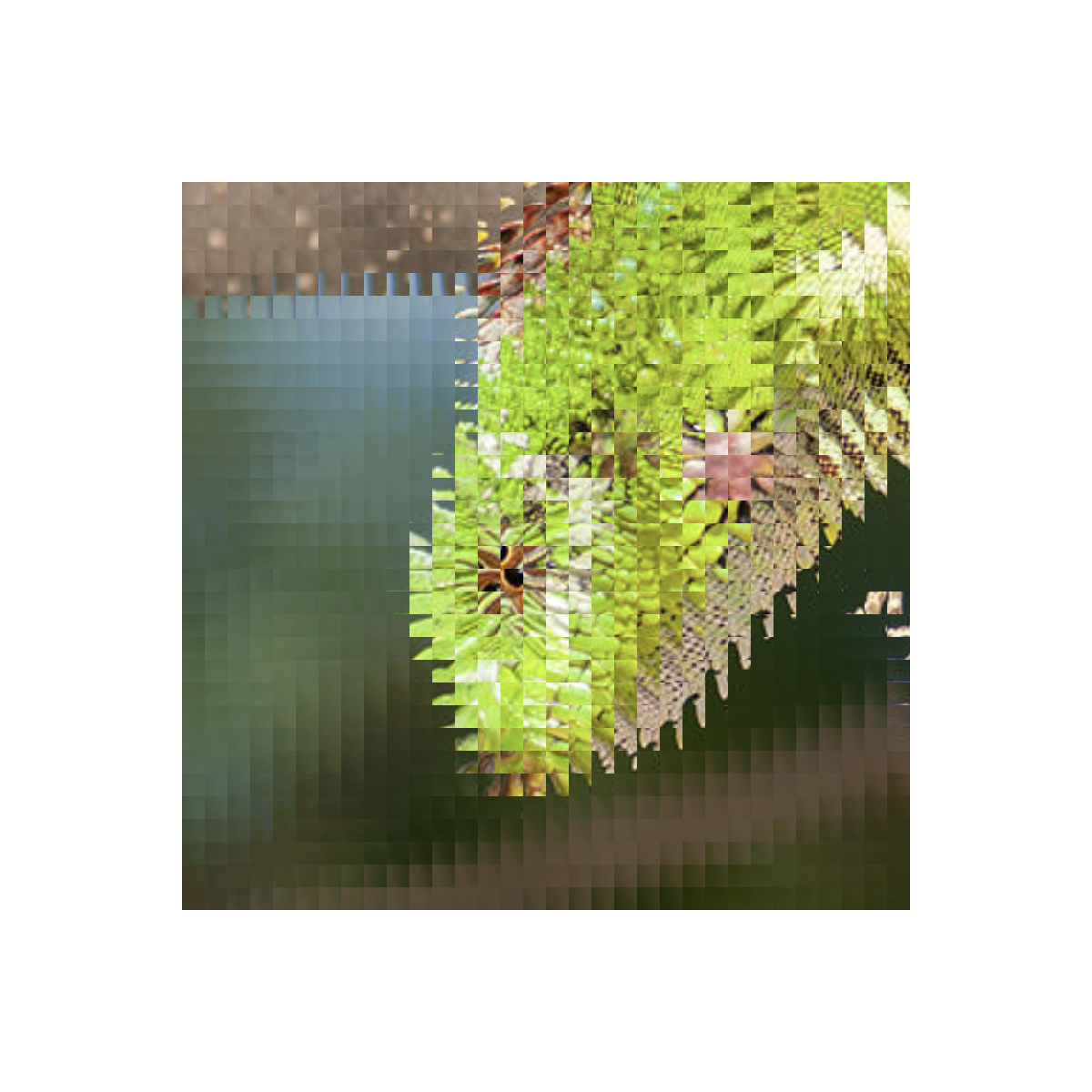 Fig 23