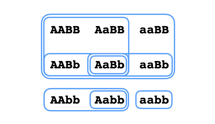 Fig 10