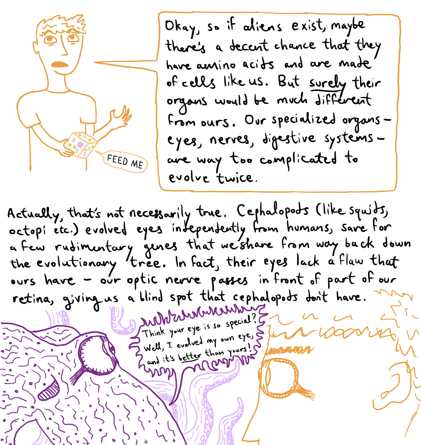 Fig5