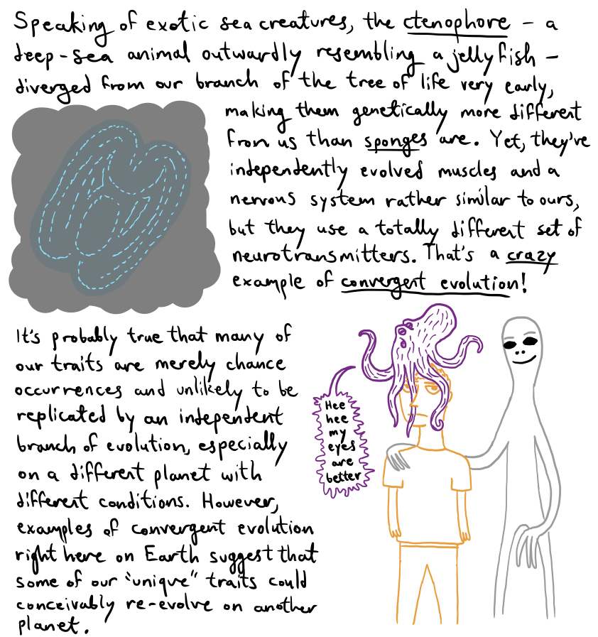 Fig6