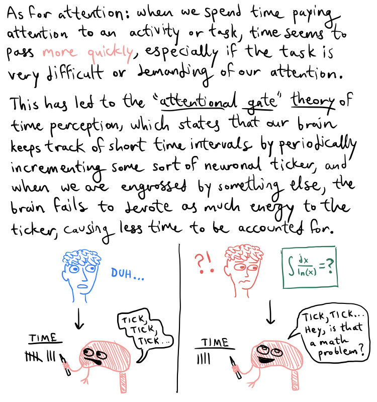Fig8
